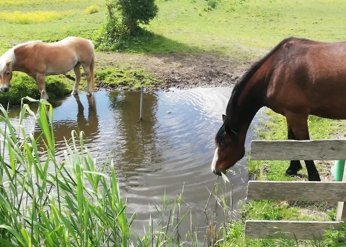 Homestead Appartement *