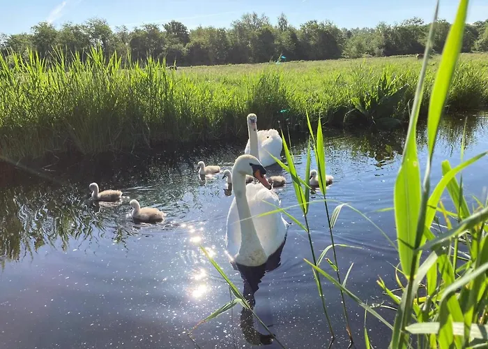 Apartamento Homestead