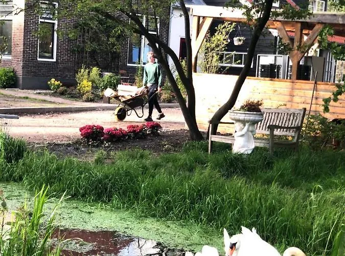 Homestead Appartement