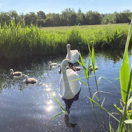 Appartement Homestead