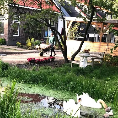 Homestead Lägenhet